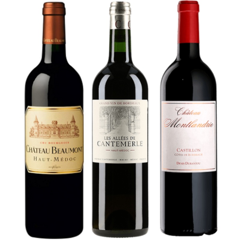 Bordeaux Premium 2015 & 2016 - 12 Reds Wine Case, 90+ Points