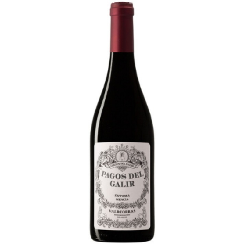 Bodegas Virgen de Galir Mencia 2019, Spain - Blackberry & Spice
