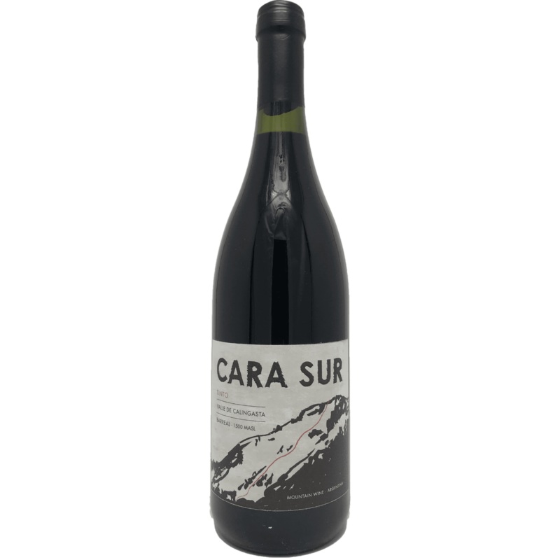 Cara Sur Tinto, Barreal, Argentina 2019 Case (6x750ml)