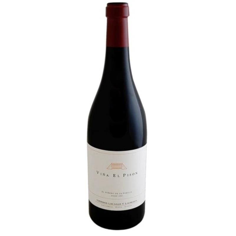 Artadi Vina El Pison, Alava, Spain 2021