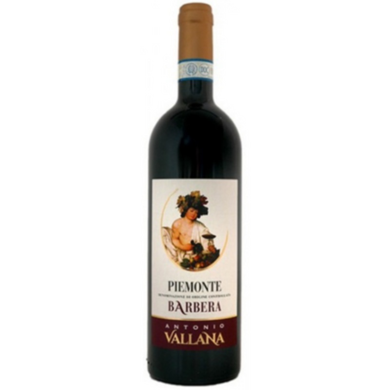Antonio Vallana e Figlio Barbera, Piemont, Italy 2021
