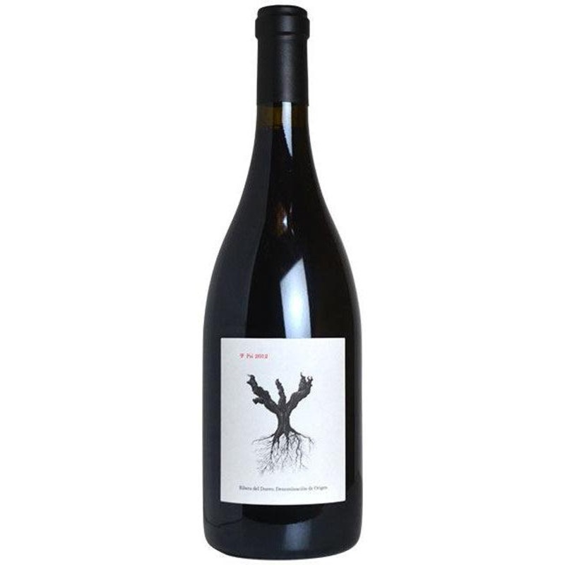 Bodegas y Vinedos Arnaldo 'PSI' Tempranillo 2019