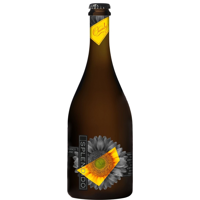 Quealy Splendido 2022